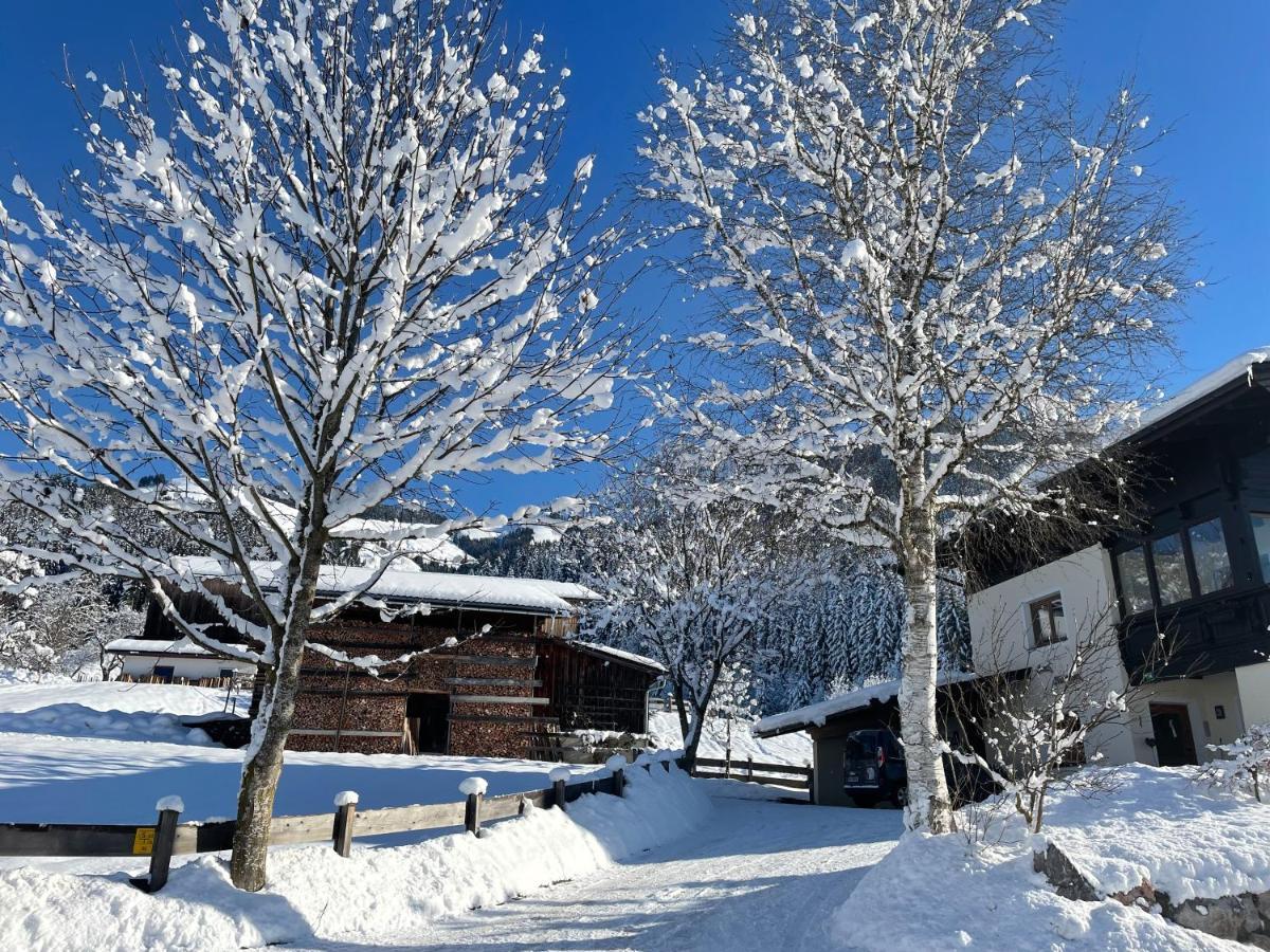 Ferienwohnung Riedmann Oberndorf in Tirol Luaran gambar